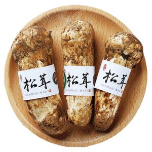 【顺丰空运】野生新鲜松茸次日达