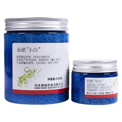 仙葩小白药小粉药组合