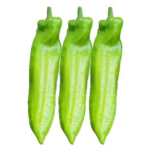 特大牛角椒苗辣椒苗秧苗高产青椒种子苗四季阳台盆栽春季蔬菜苗籽