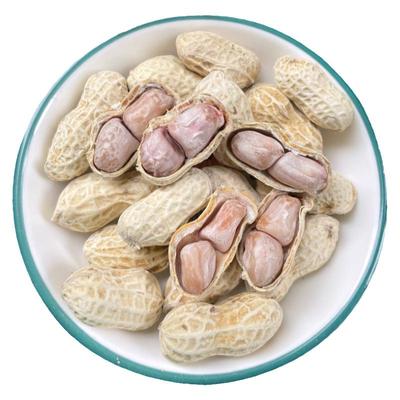 广东河源农家晒干盐水水煮花生