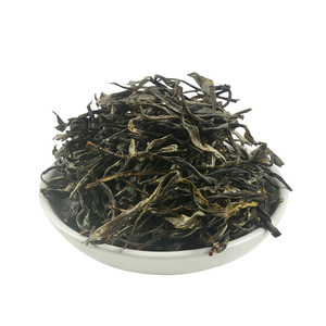 麻黑老寨普洱生茶大树纯料春茶叶