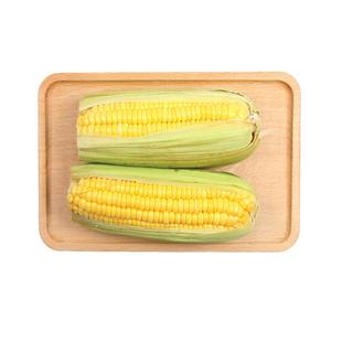 【小汤山】甜玉米 约600g 新鲜蔬菜当天采摘北京农场顺丰到家