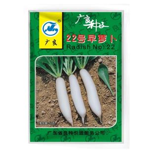 22号早萝卜白萝卜种子种孑白萝卜种籽四季秋季菜籽种菜早熟耐热