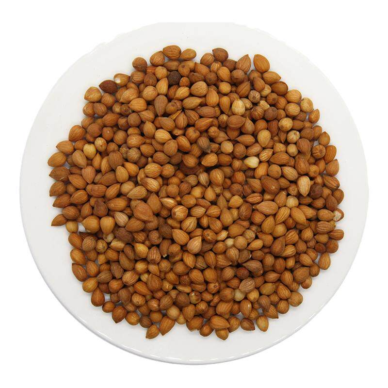 京皖 郁李仁10g 中药饮片 中药材抓配 官方旗舰店正品