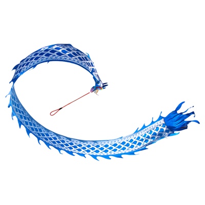 水龙吟舞龙彩带健身龙新款成人