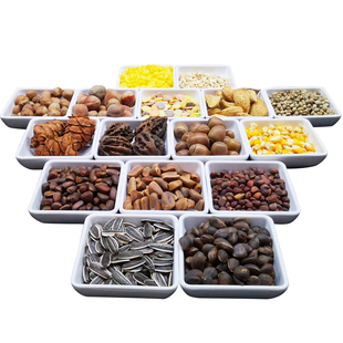 松鼠粮食坚果专用主食磨牙主粮飞鼠宠物松鼠幼崽吃的食物饲料生料