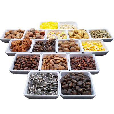 松鼠粮食坚果专用主食磨牙主粮飞鼠宠物松鼠幼崽吃的食物饲料生料