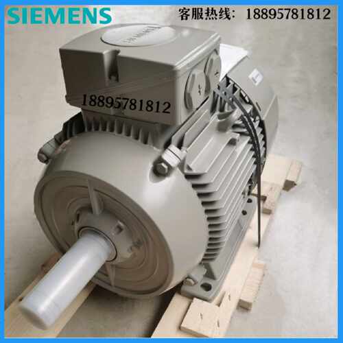议价西门子电机1LE1001-1DA33-4AA4-Z15KW2极卧式进口异步交流电