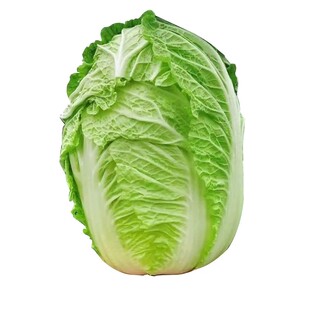 四季优质蔬菜种子套餐种籽各种菜籽萝卜生菜菠菜香葱白菜籽种大全