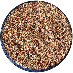 鸽粮50斤包邮魔鬼饲料无玉米粒红高粱幼鸽信鸽子通用10斤20斤鸽粮