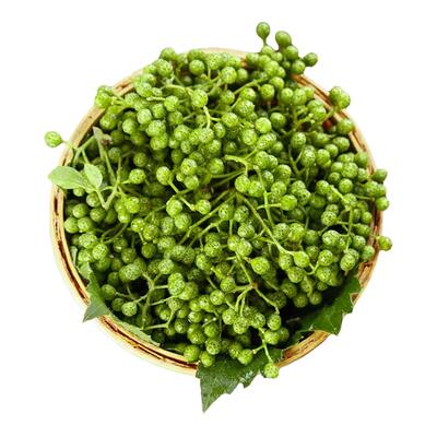 新鲜青花椒新鲜餐饮批发特麻真空江津直供九叶青花椒麻鲜藤椒包邮