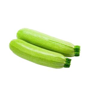 西葫芦种子西葫芦种籽高产四季春季西葫芦苗秧夏秋季蔬菜种孑大全