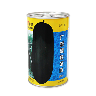 广东黑皮大冬瓜种子种籽特大巨型高产菜东瓜春季蔬菜苗幼苗孑秧苗