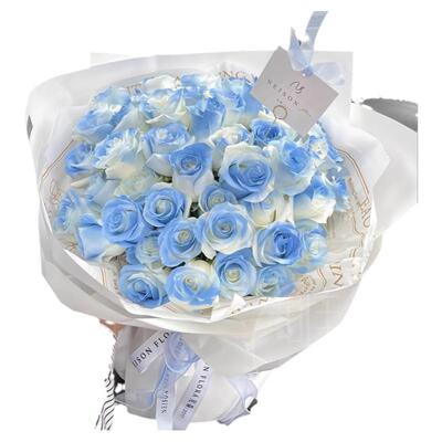 情人节99朵碎冰蓝玫瑰真花束送女友生日鲜花速递同城上海北京配送