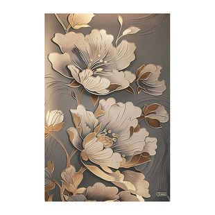 硅藻泥入户门地垫进门地毯门口吸水垫子家用轻奢高级玄关耐脏脚垫