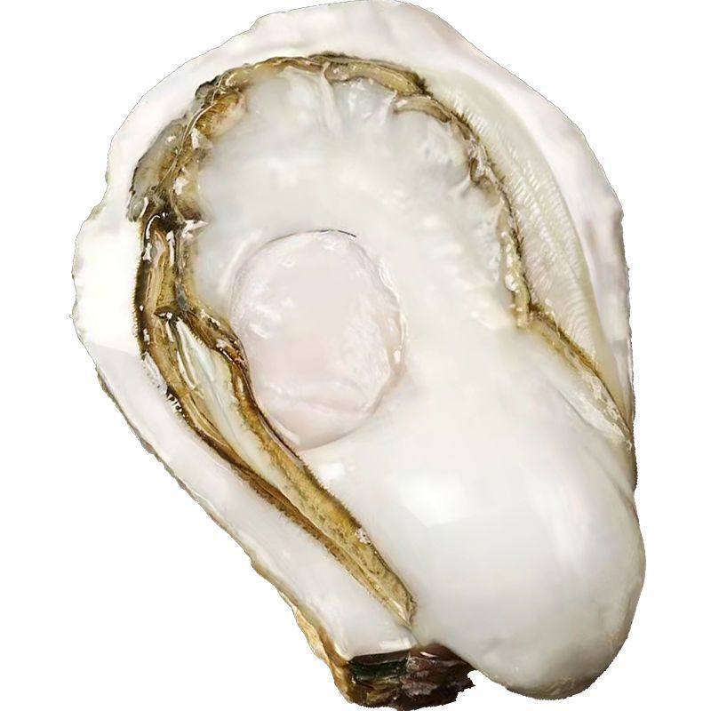乳山鲜活特大带壳生蚝5斤整箱
