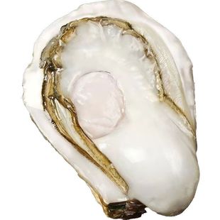 乳山生蚝鲜活5斤特大正宗新鲜牡蛎带壳海鲜水产生吃海蛎子整箱