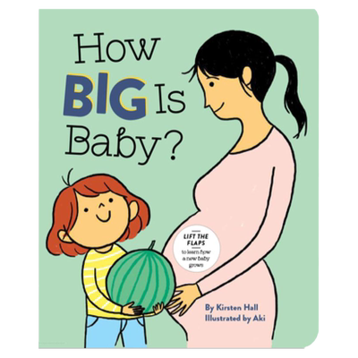 How Big is Baby 小宝宝有多大？宝宝从哪里来？ 趣味翻翻书纸板书 家有二胎 启蒙认知 温馨绘本 早教启蒙 英文原版 原版英语书籍