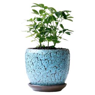 个性花盆陶瓷带托盘蛋形大号室内绿植绿萝吊兰多肉花盆家用清仓