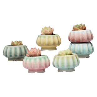 新款冰裂陶瓷多肉花盆迷你拇指盆可爱控型韩式白瓷渐变彩虹简约