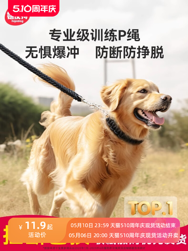 狗狗牵引绳中型大型犬金毛狗绳子防咬断拉布拉多狗链子脖圈p绳p链