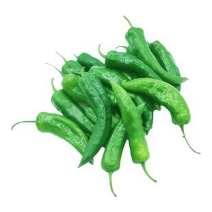 绿色辣妹子特辣辣椒【品种别名东北笨尖椒】小辣椒产地直发现摘发