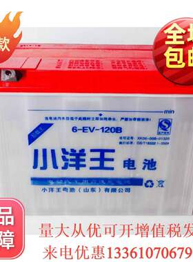 小洋王电池6EV120A电动载客三轮车拉坯车48V60V72V牵引水电瓶
