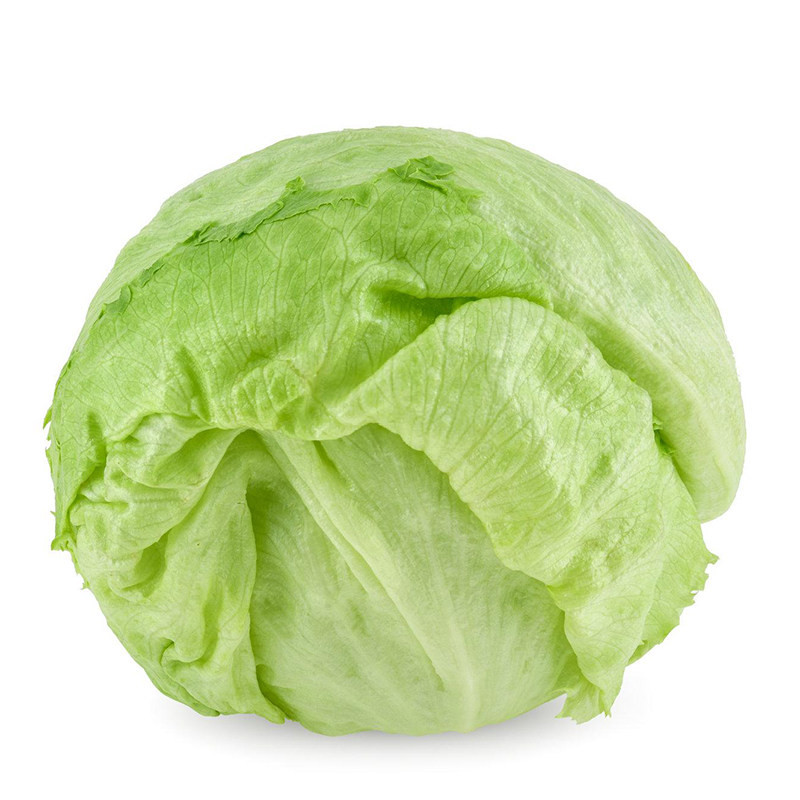 西生菜新鲜蔬菜圆生菜球包菜轻食汉堡包沙拉蔬菜西餐菜新鲜500g