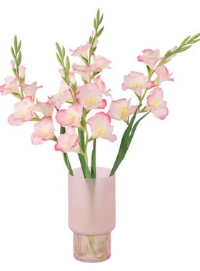 北欧仿真花剑兰家居客厅餐桌软装饰工程婚庆布景摆件假花