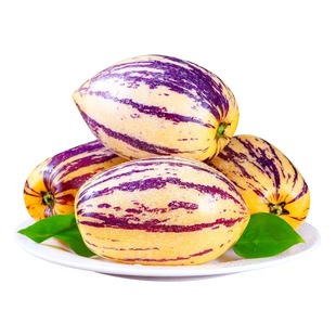 甘肃民勤沙漠人参果新鲜水果人心果人生果树上熟产地直发5斤整箱