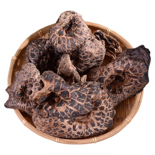 当季云南野生黑虎掌菌干货黑虎掌菇特级野生菌西藏林芝500g新品