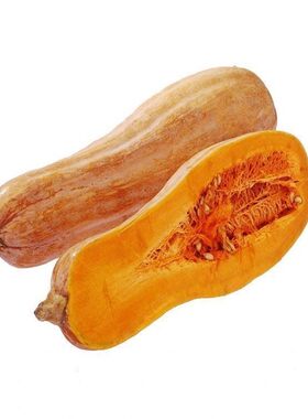 早栗蜜本南瓜种子超甜粉面蜜本甜南瓜早熟高产耐贮运四季蔬菜种籽