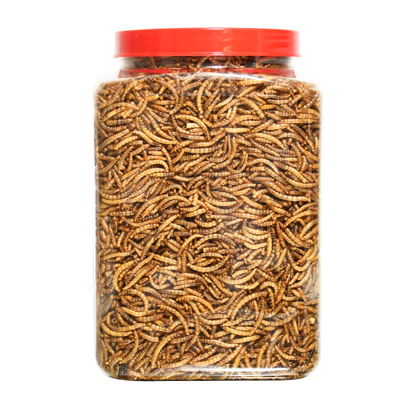 面包虫干黄粉虫干鸟食仓鼠龟粮鱼食八哥粮芦丁鸡鹦鹉饲料宠物零食