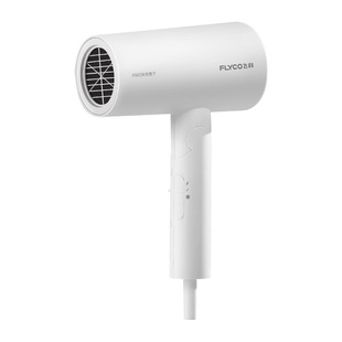 飞科吹风机家用负离子护发网红静音大风力宿舍用学生电吹风筒速干