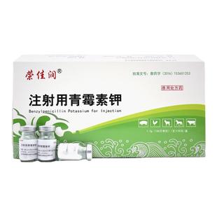 荣佳润兽药160万注射用青霉素钾兽用粉针猪牛羊鸡猫狗抗菌消炎药
