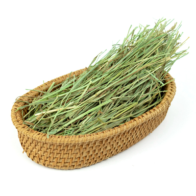 娜姐与兔美国进口提摩西草