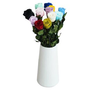玫瑰永生花高级感真花干花花束玻璃罩花瓶新年插花送闺蜜生日礼物
