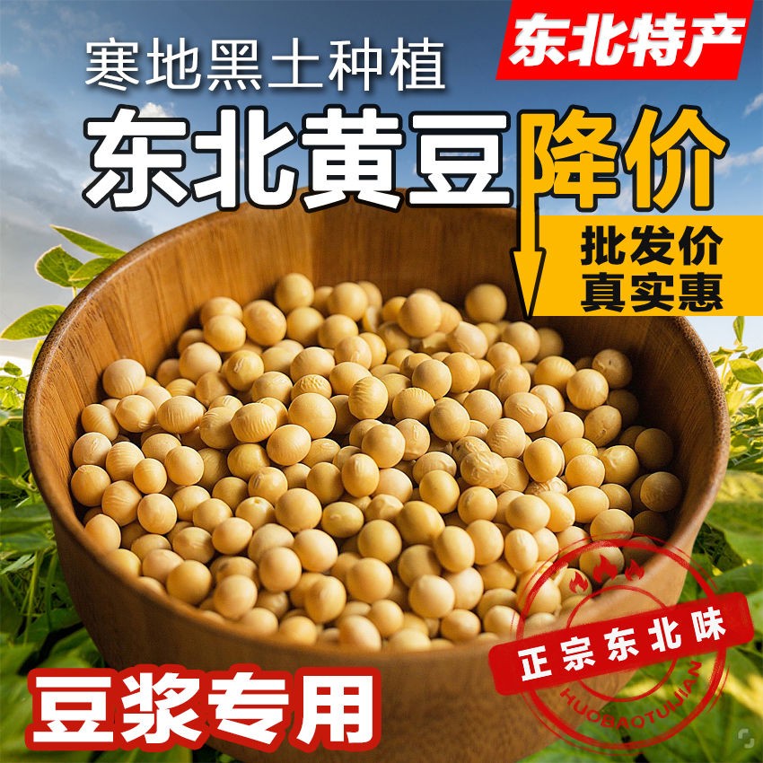 纯黑龙江非转基因大豆黄豆