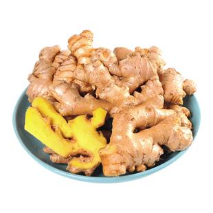 新云南小黄姜5斤红河新鲜生姜老姜现挖高山沙姜老姜土姜种子蔬菜