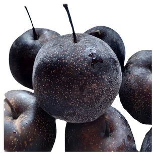 东北特产花盖梨冻梨冻秋梨华盖梨东北冻货甜酸冻梨4斤小黑梨包邮