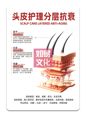 头皮护理分层抗衰亚克力展示牌美发沙龙场景摆件高透UV材质双面印