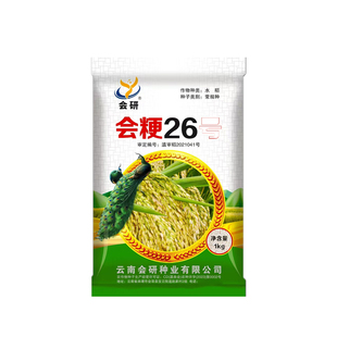 正品原装优质会粳26号高海拔水稻种子常规稻可留种稻谷米饭香