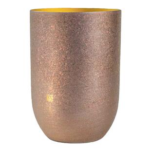 日本HORIE然｜系列双层高保冷纯钛水杯 啤酒杯健康抗菌礼物杯子