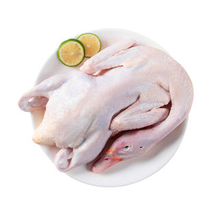 李烧鸭云南宜良散养麻鸭新鲜冷冻整只无添加生鲜鸭麻鸭白条鸭