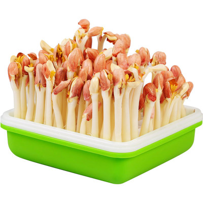 发芽神器水培箱盆牙机专用花生苗