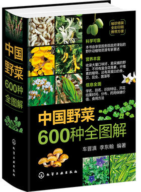 便携小开本 中国野菜600种全图解 野生植物分布食用方法药用保健特征识别科普读物彩色图鉴 药食同源健康饮食营养食疗养生一本通书