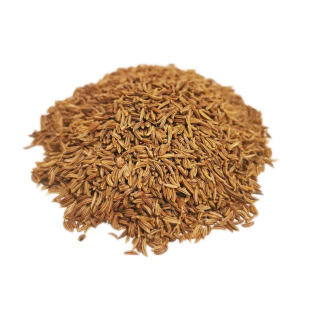 葛缕子 进口西餐调料葛缕子籽 调料粉 藏茴香茴芹籽葛娄子籽