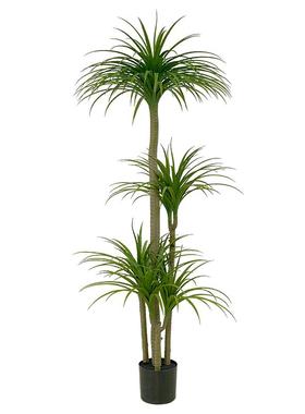 仿真绿植龙血树落地摆件