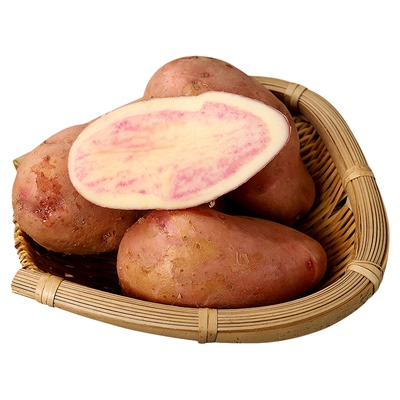 云南七彩土豆新鲜现挖马铃薯紫皮洋芋高原特产花心红皮红心小土豆