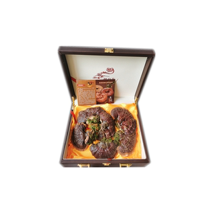 长白山特产金边灵芝礼盒装干灵芝赤芝东北吉林紫灵芝过节送礼泡酒